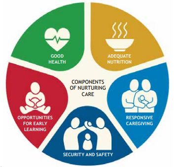 Components of Nurturing Care