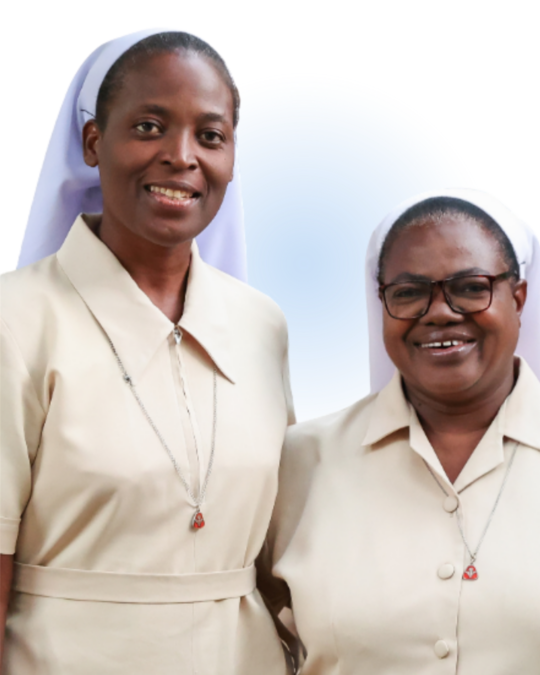 Catholic Sisters Profiles In Leadership Hilton Foundation catholic-sisters-profiles-in-leadership-hilton-foundation